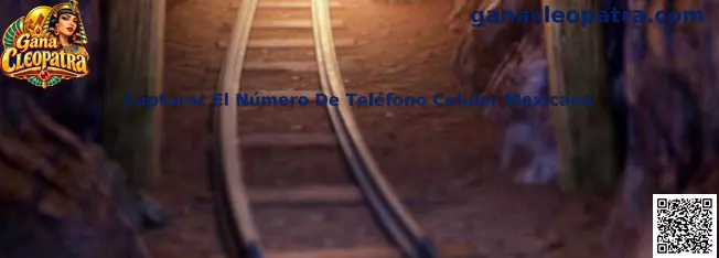 Guía para capturar correctamente un número de teléfono celular mexicano de diez dígitos