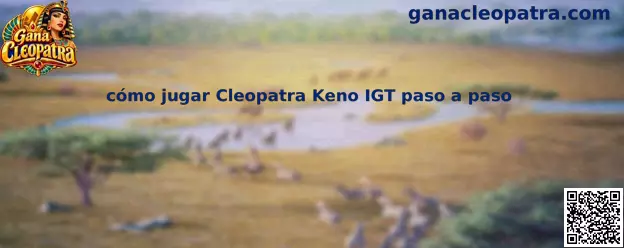 Imagen informativa sobre cómo jugar Cleopatra Keno IGT paso a paso